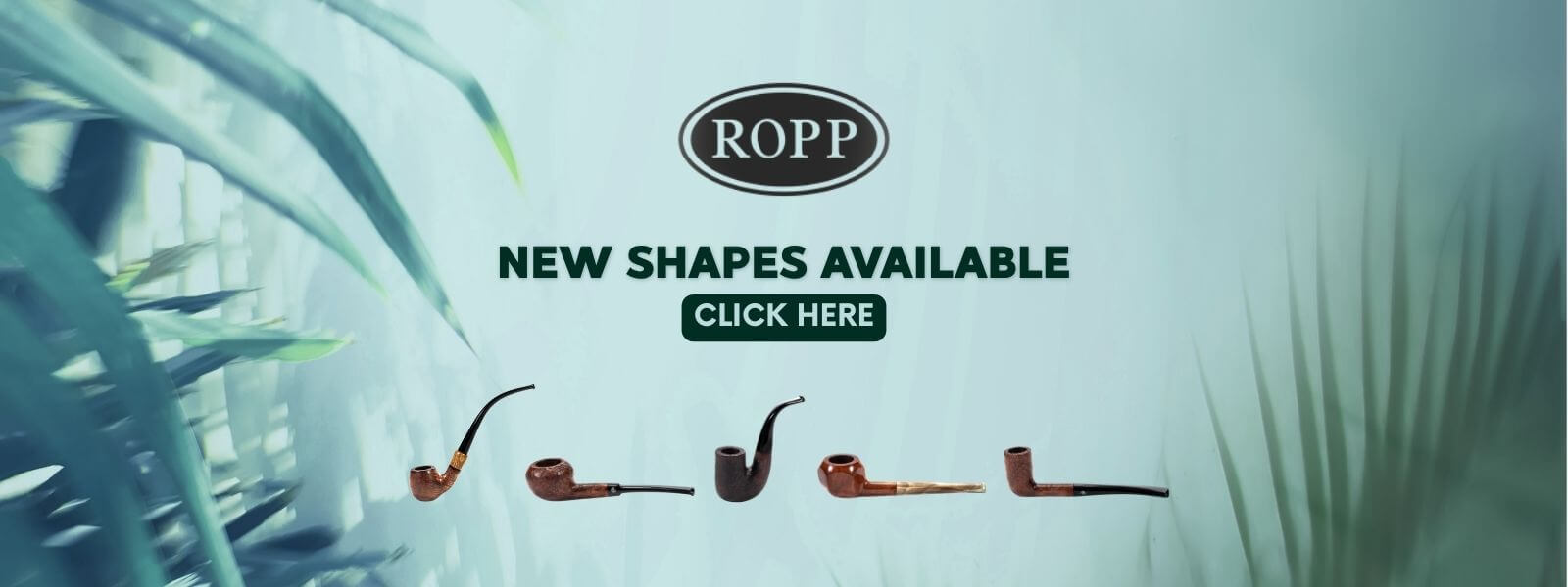  New Ropp